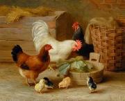 unknow artist Cocks 106 Germany oil painting artist